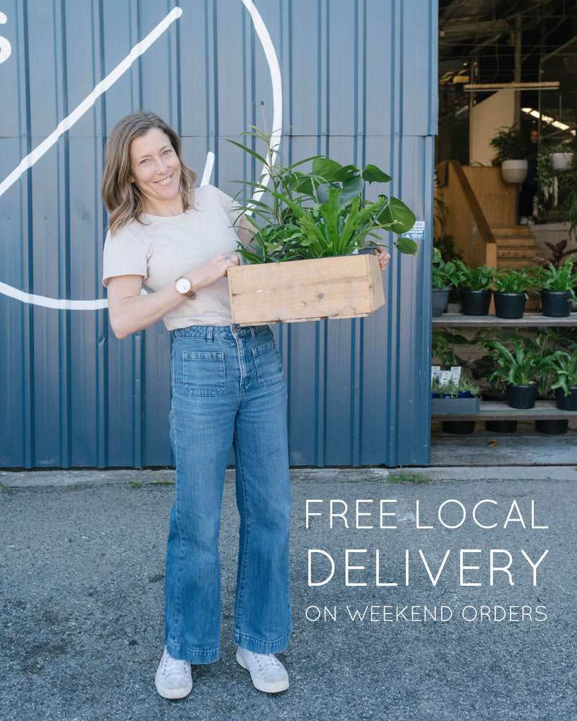 FREE LOCAL DELIVERY ON WEEKEND ORDERS