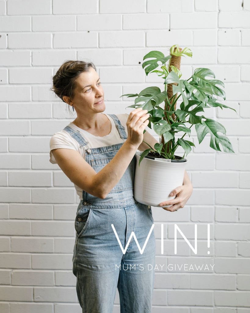 WIN: a green delivery for Mum!