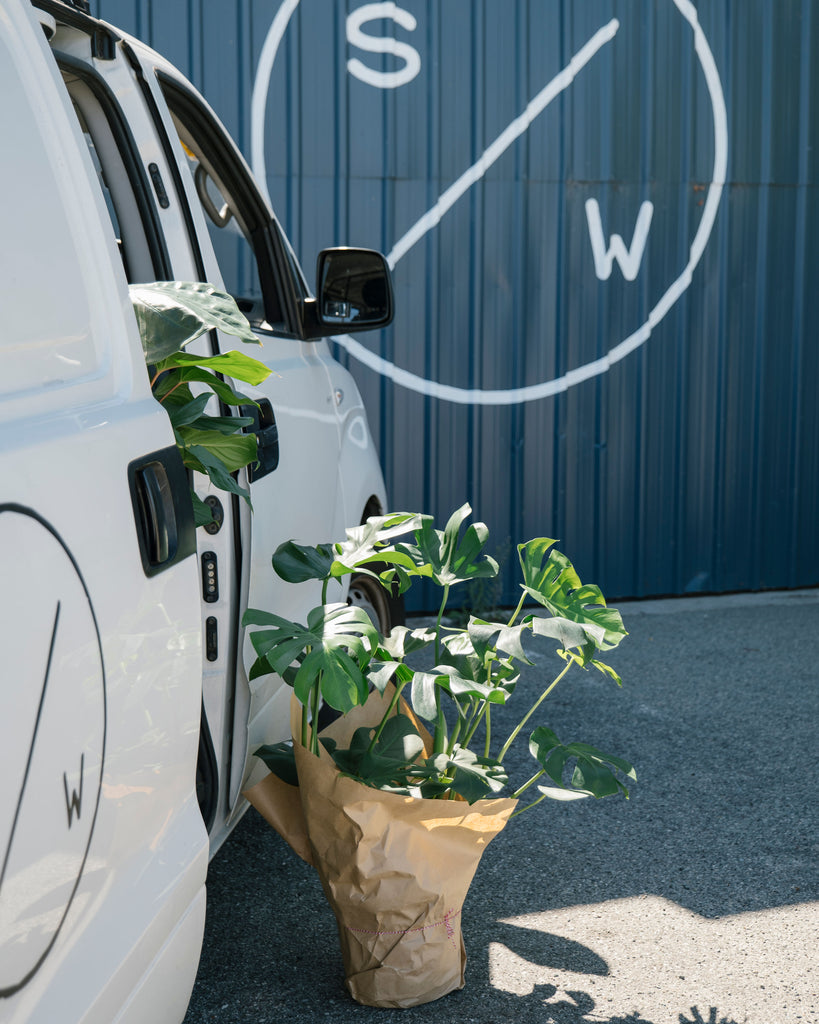We've launched - Plant Delivery is LIVE!