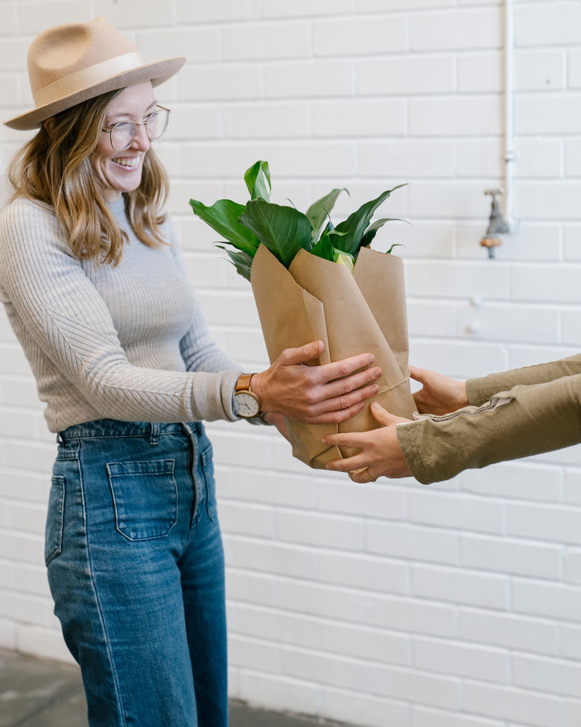 Introducing our plant gifting service