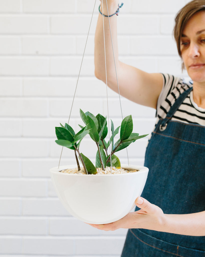 How to pot up a Hanging Planter