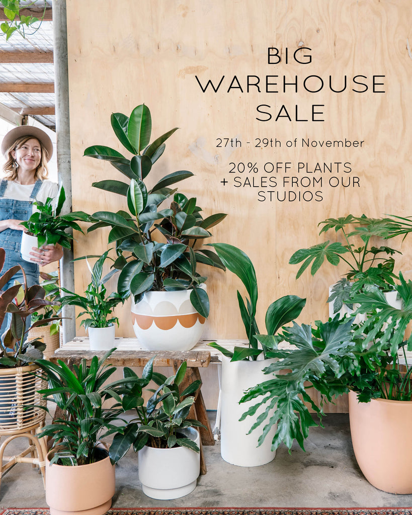 Big Warehouse Sale